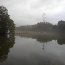 大安トラウトレイク 釣果